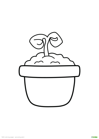 thumbnail image of a sprouting plant coloring page