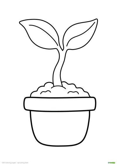 thumbnail image of a sprouting plant coloring page