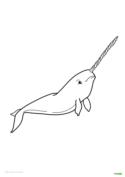 thumbnail image of narwhal coloring page