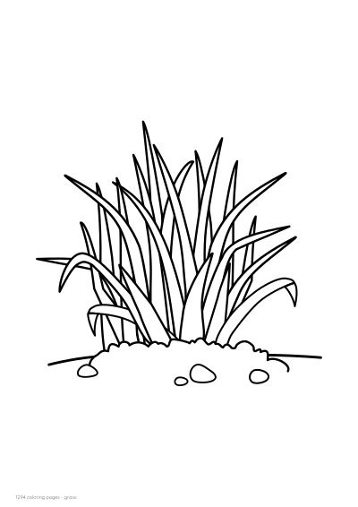 Free grass coloring pages: 3 printable designs