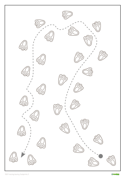Tracing bunny footprints. Exercises for children to trace.