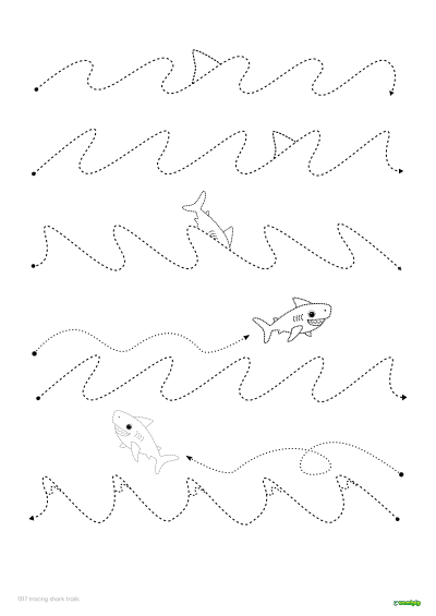 Tracing sharks. A shark exercise for children to trace.