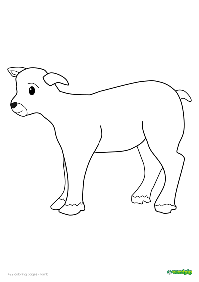 thumbnail image of a lamb coloring page