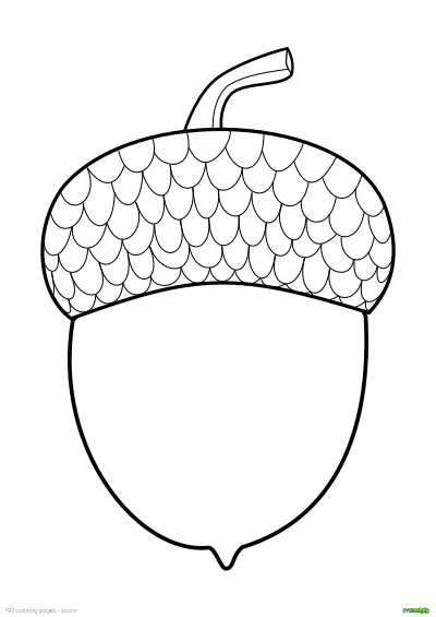 thumbnail image of an acorn coloring page 