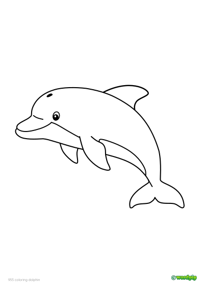 thumbnail image of a dolphin coloring page 